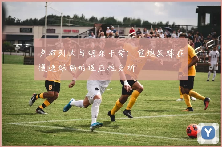 卢布列夫与胡尔卡奇:重炮发球在慢速球场的适应性分析